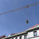 Firstfeier VS Mitte 3n.jpg