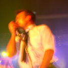 1261315.jpg