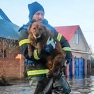Russia_Floods_47193.jpg