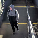 20240408 PI Sollenau uT Bild 2.JPG