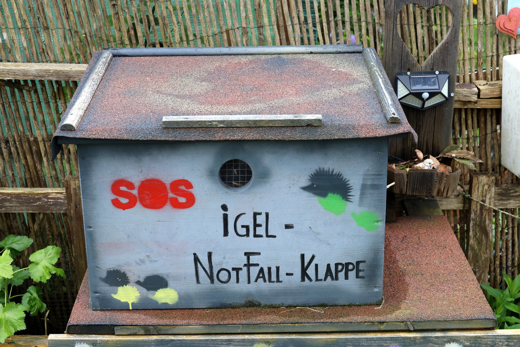 Igel _8_.jpg
