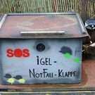Igel _8_.jpg