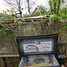 Igel _9_.jpg