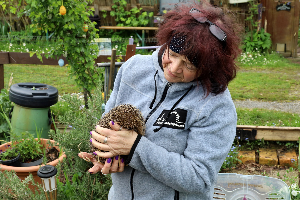 Igel _24_.jpg
