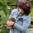 Igel _24_.jpg