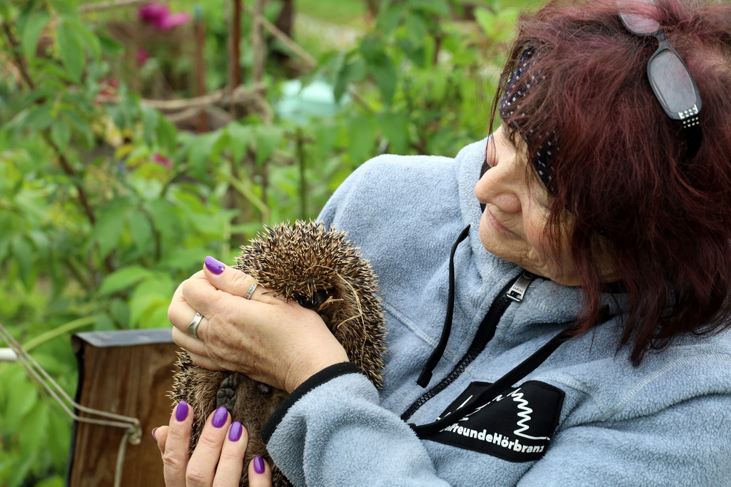 Igel _27_.jpg