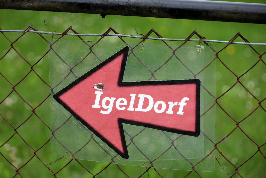 Igel _47_.jpg