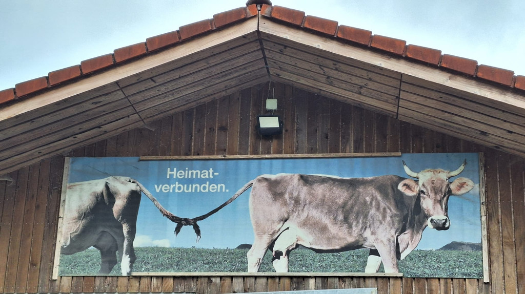 WhatsApp Bild 2024-04-24 um 10_52_36_8c3660b3.jpg