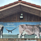 WhatsApp Bild 2024-04-24 um 10_52_36_8c3660b3.jpg