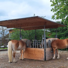 WhatsApp Bild 2024-04-24 um 10_53_48_bbbfd6e4.jpg