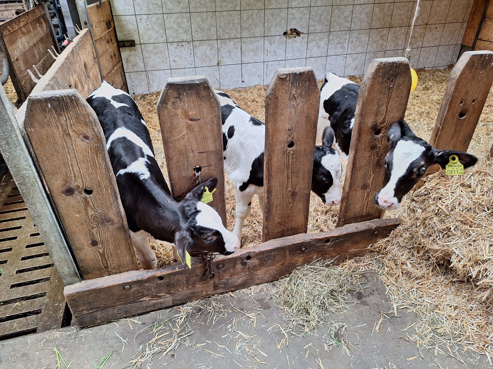 WhatsApp Bild 2024-04-24 um 11_10_47_80bb2e96.jpg