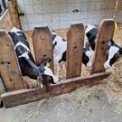 WhatsApp Bild 2024-04-24 um 11_10_47_80bb2e96.jpg