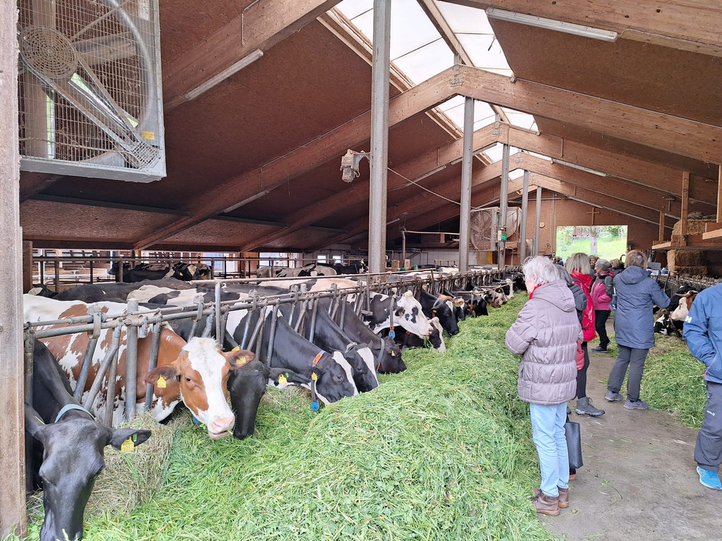 WhatsApp Bild 2024-04-24 um 11_11_58_b788c071.jpg