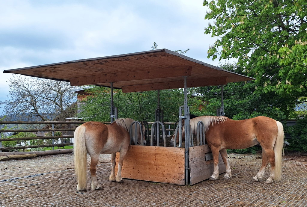 WhatsApp Bild 2024-04-24 um 10_53_48_bbbfd6e4.jpg