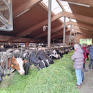 WhatsApp Bild 2024-04-24 um 11_11_58_b788c071.jpg