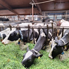 WhatsApp Bild 2024-04-24 um 11_13_48_1f7b771d.jpg