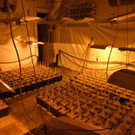p12804-Bild 3 _002_.jpg