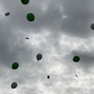 IMG_4333.jpg