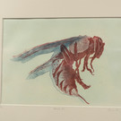 P4266589 _1_.jpg