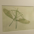 P4266592.jpg