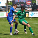 DSC06163a.jpg