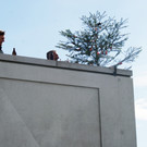 DSC07146.JPG