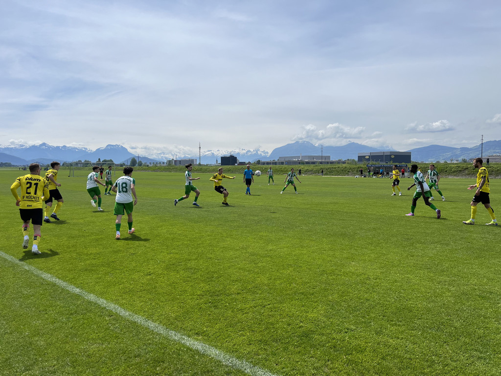 IMG_5331.jpg