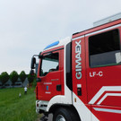 DSCI9685.JPG