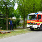 DSCI9695.JPG