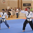 Taekwondo - ein Sport für Alle 