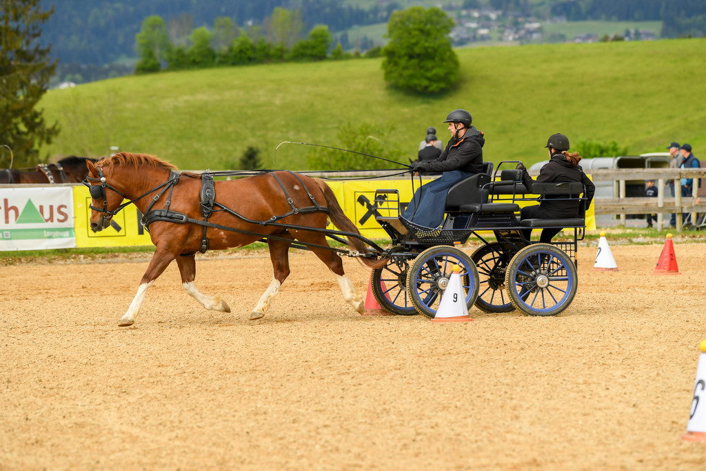 Foto Waschb__r - Ernst Steurer und Beifahrerin Sabine Rasch mit Daria vom RFV Bregenzerwald.jpg