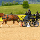 Foto Waschb__r - Ernst Steurer und Beifahrerin Sabine Rasch mit Daria vom RFV Bregenzerwald.jpg