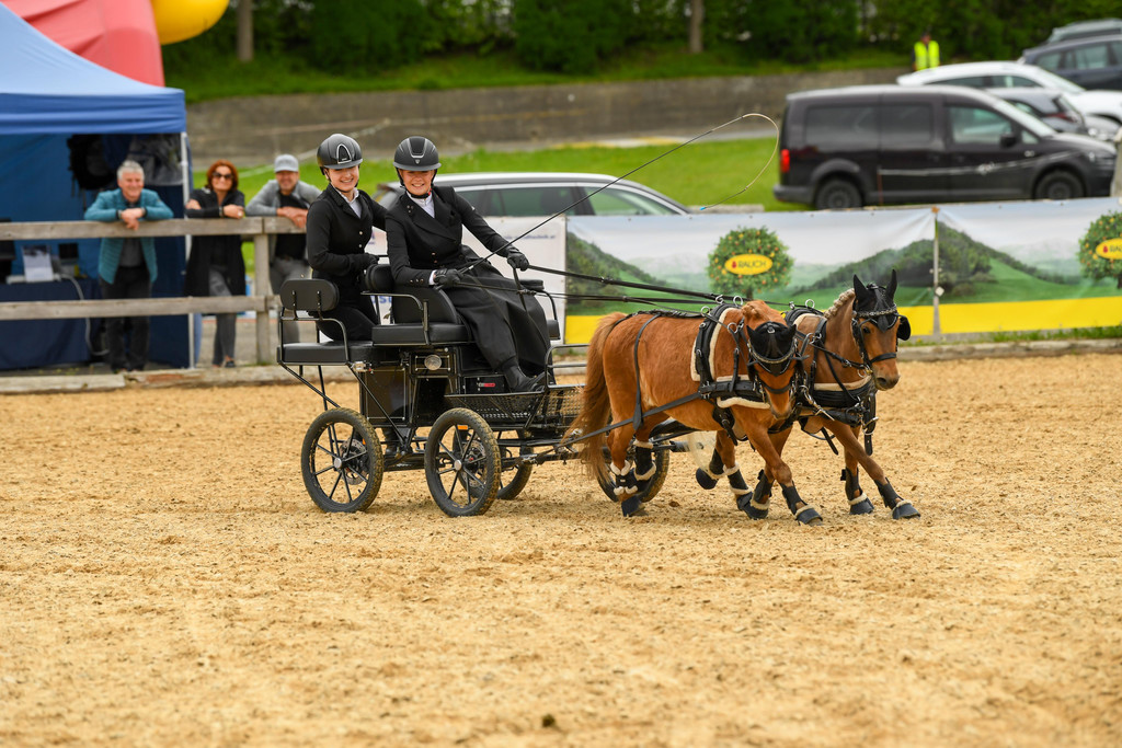 Foto Waschb__r - Salome Klammer mit Beifahrerin Magdalena Bayer und den Ponys Apollo und Bettina 2.jpg