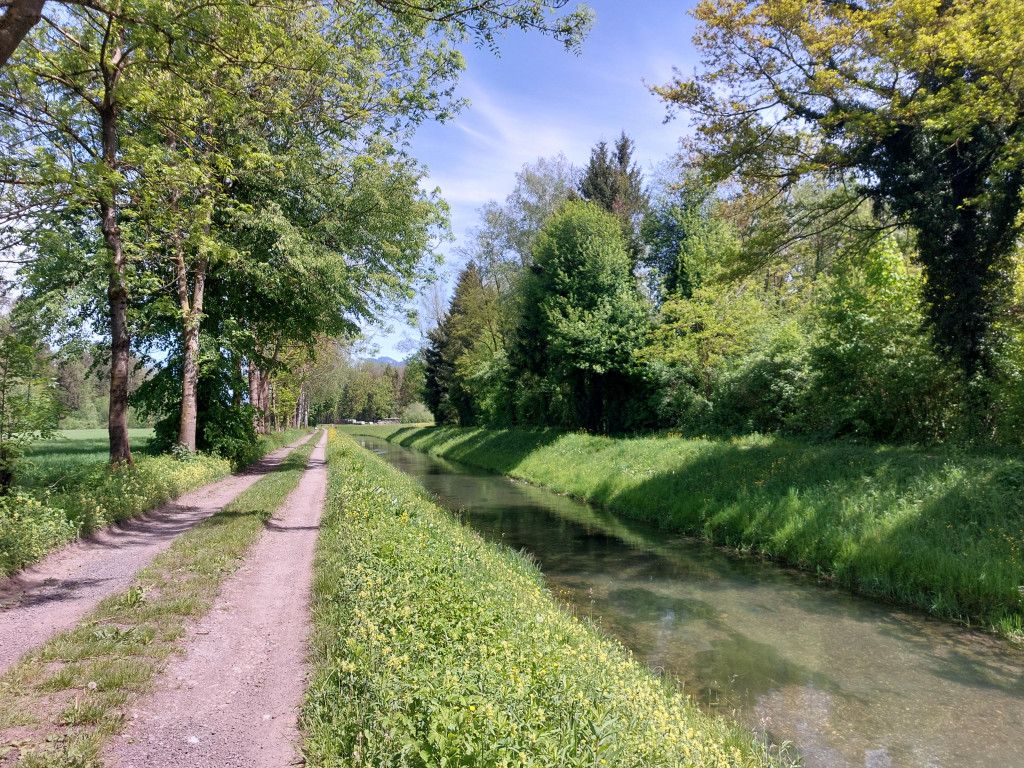 20240429_134546 - Kopie.jpg
