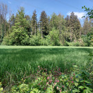20240429_134755 - Kopie.jpg