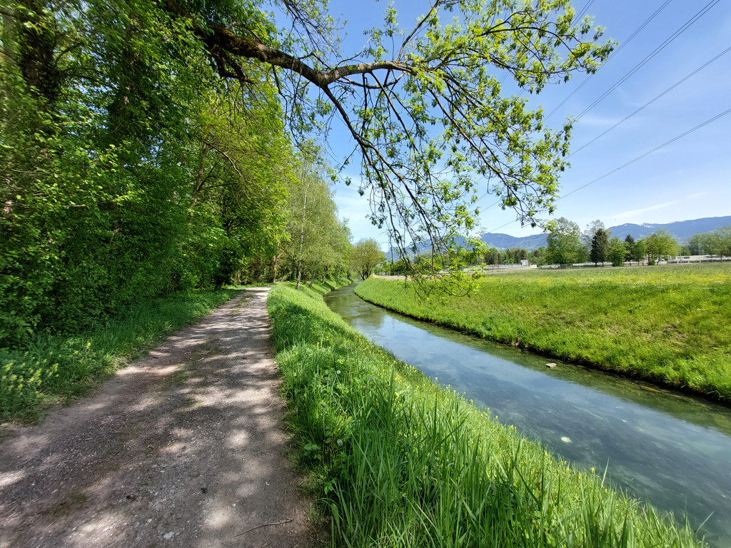 20240429_135442 - Kopie.jpg
