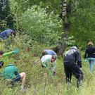 bild 2 n.jpg