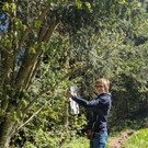 Maria Erika Lyrikweg Egg/Andelsbuch