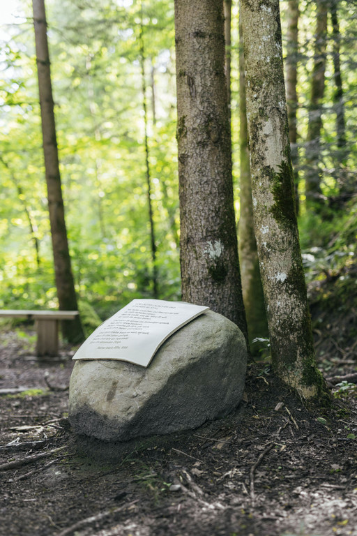 Lyrikweg zwischen Egg und Andelsbuch 1_C Dominic Kummer.jpg