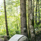 Lyrikweg zwischen Egg und Andelsbuch 1_C Dominic Kummer.jpg