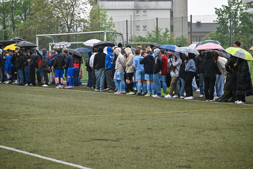 DSC_3176.jpg