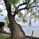 2024-05-15-ammersee-30.jpg