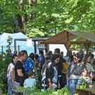 dorfmarkt3.jpg