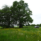 Bad Waldsee __berraschungsfahrt 13_5_2024  _37_.JPG