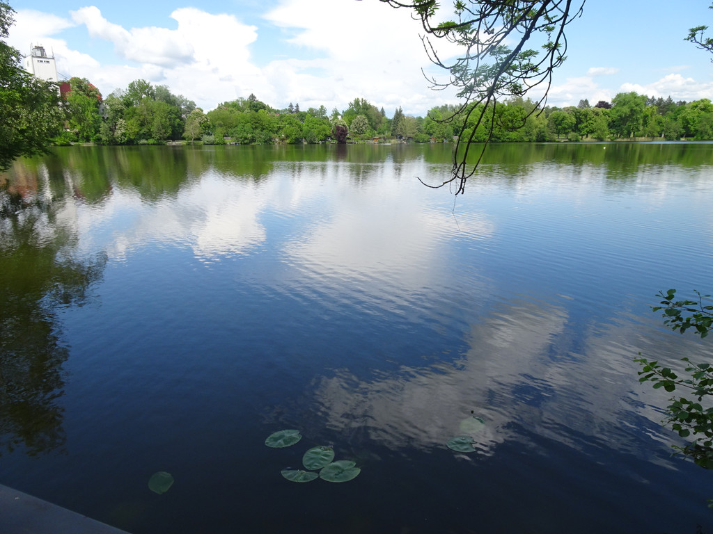 Bad Waldsee __berraschungsfahrt 13_5_2024  _88_.JPG