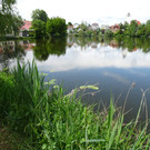 Bad Waldsee __berraschungsfahrt 13_5_2024  _91_.JPG