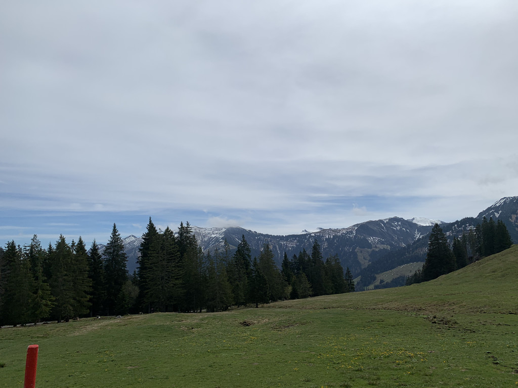 DA1D8071-41FF-49E8-B261-906B21831C58.jpeg