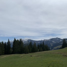 DA1D8071-41FF-49E8-B261-906B21831C58.jpeg
