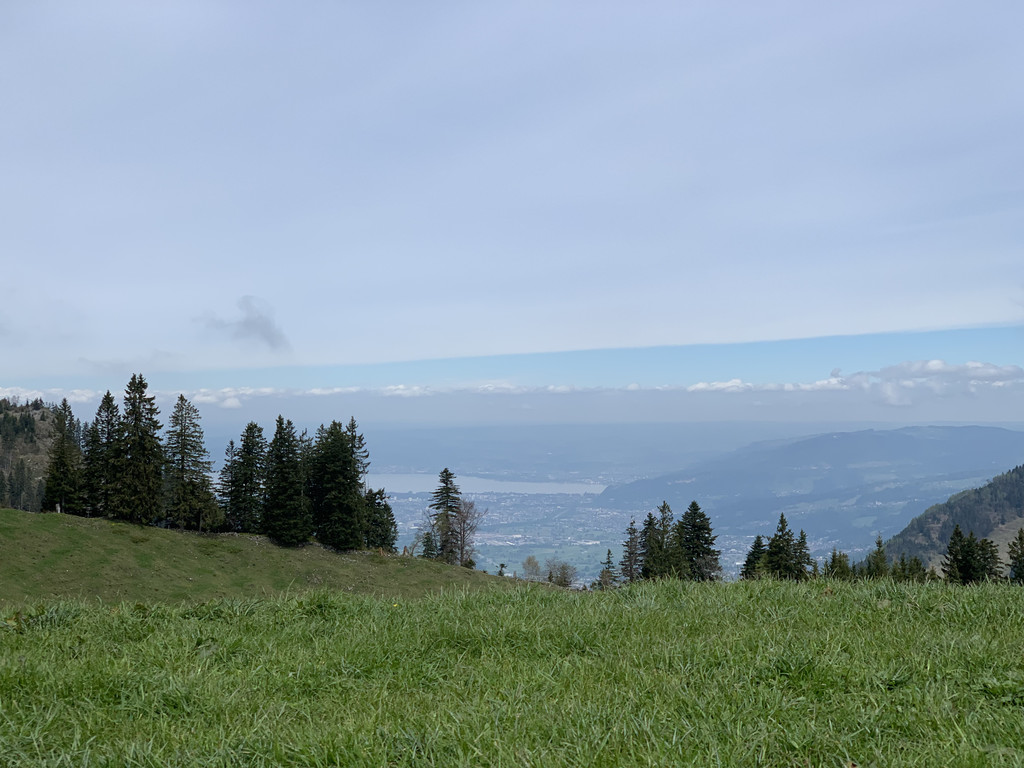D5685778-4772-4017-9851-F8CF01097B8A.jpeg