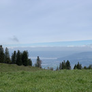 D5685778-4772-4017-9851-F8CF01097B8A.jpeg